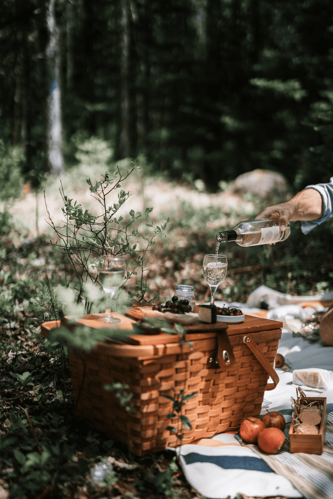 Cómo Hacer un Picnic: Guía Completa para una Experiencia Inolvidable - La Compañía Francesa