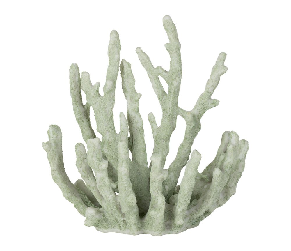 Coral Decorativo Verde Mar