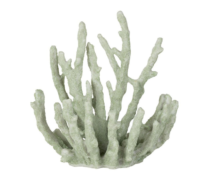 Coral Decorativo Verde Mar