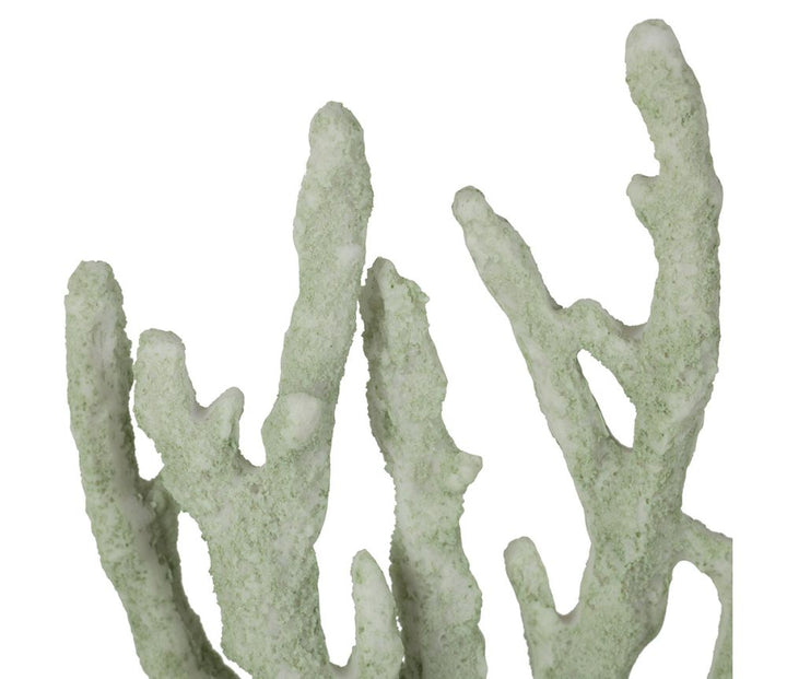 Coral Decorativo Verde Mar