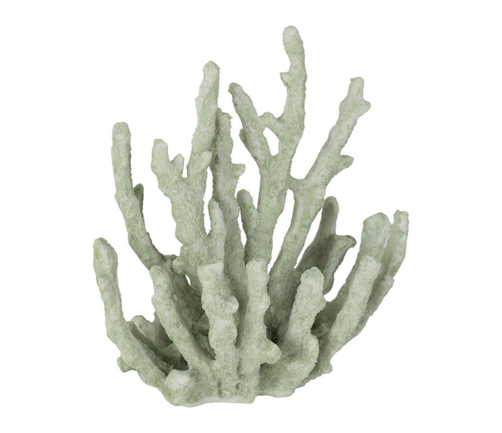 Coral Decorativo Verde Mar