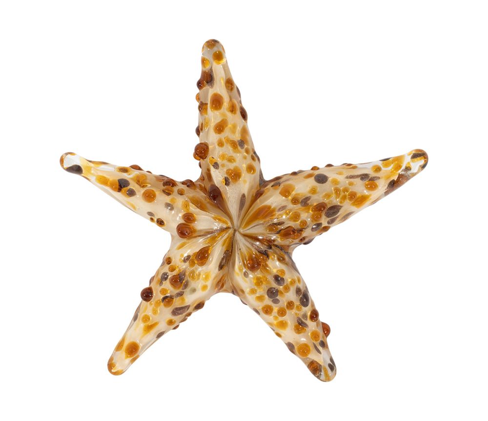 Estrella de Mar Decorativa