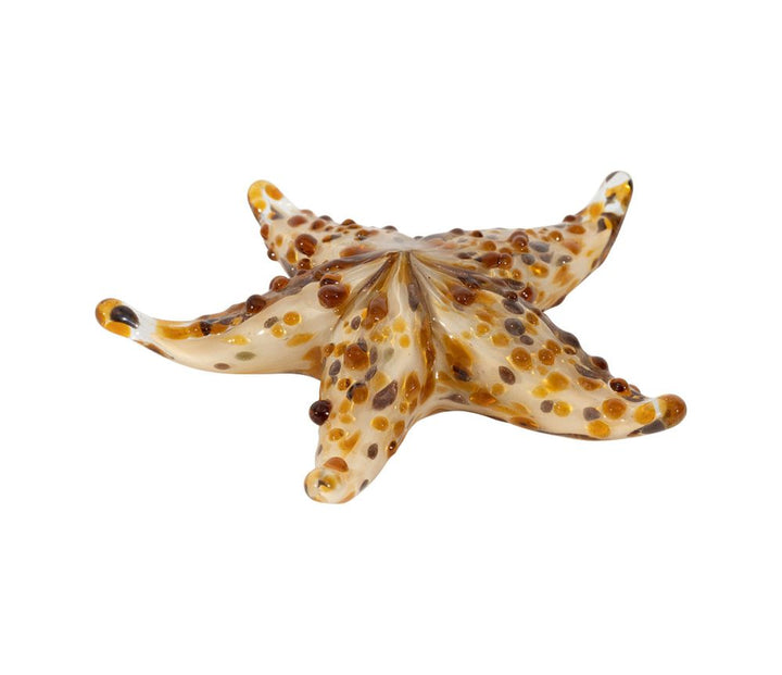 Estrella de Mar Decorativa