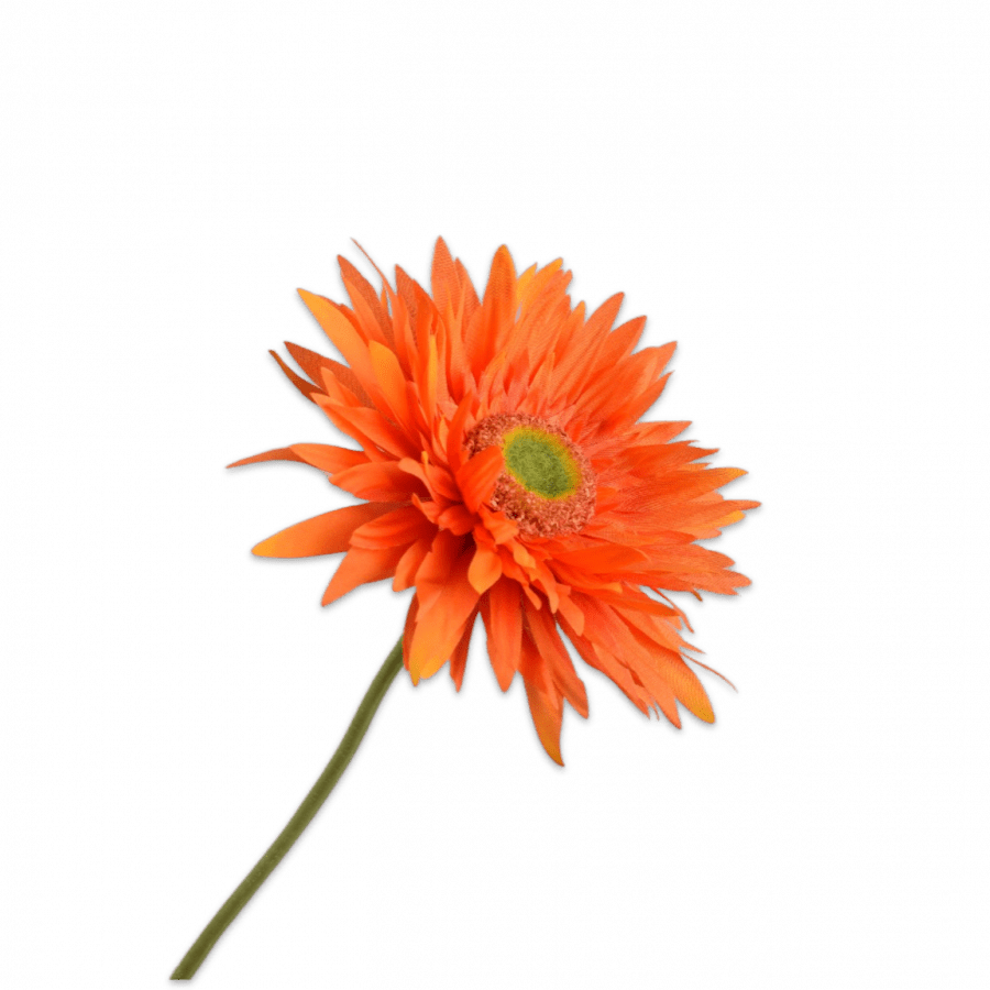 Gerbera Tallo Naranja 61cm - La Compañía Francesa