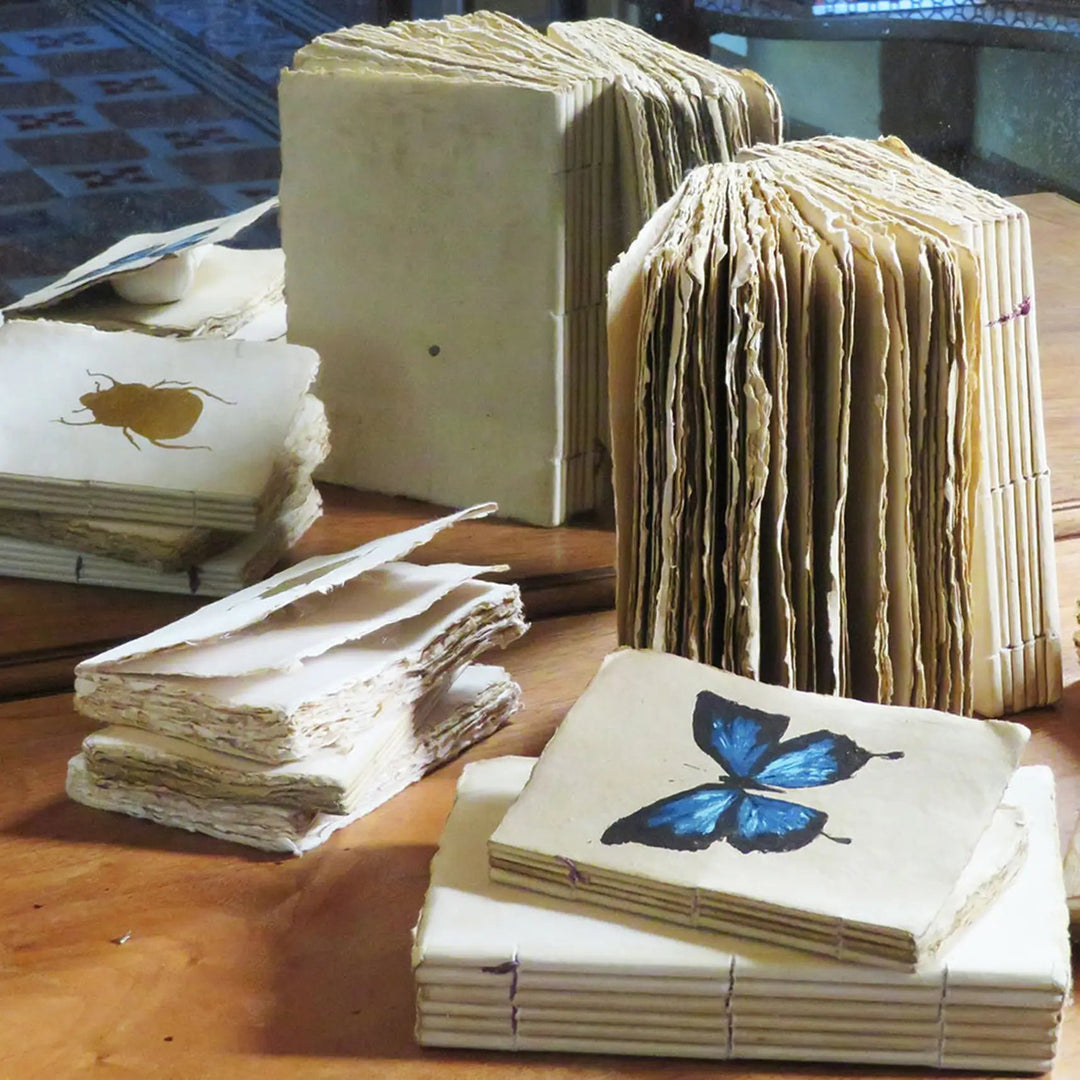 Cuaderno Mariposa Dorada | A6 - La Compañía Francesa